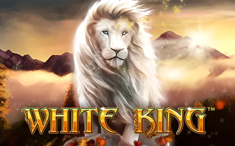 Spin online casino