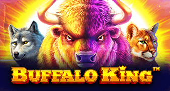 Aposta ganha casino